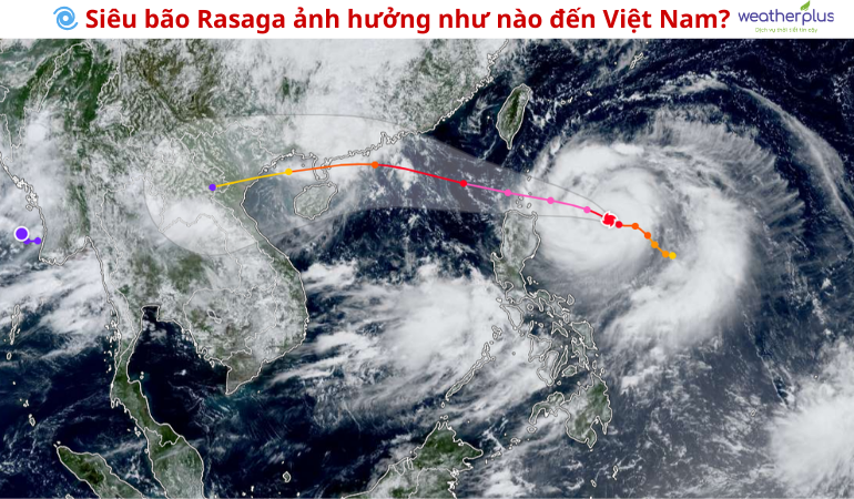 cay chanh_1758430013.png